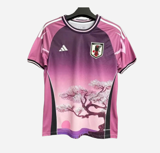 Japon 2024 Concept