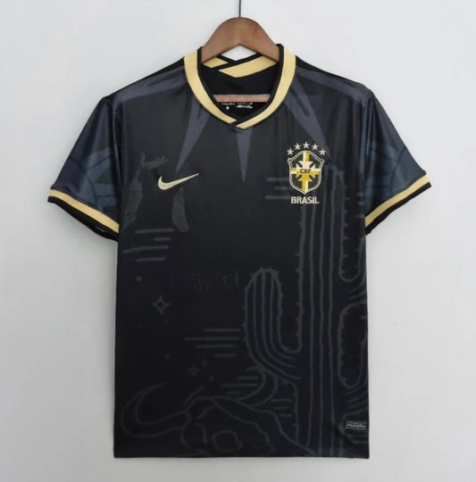 Brésil 2024 Concept