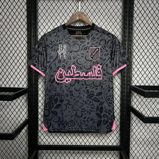 Palestine 2024 Concept