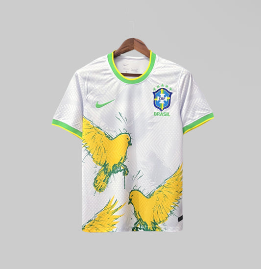 Brésil 2024 Concept