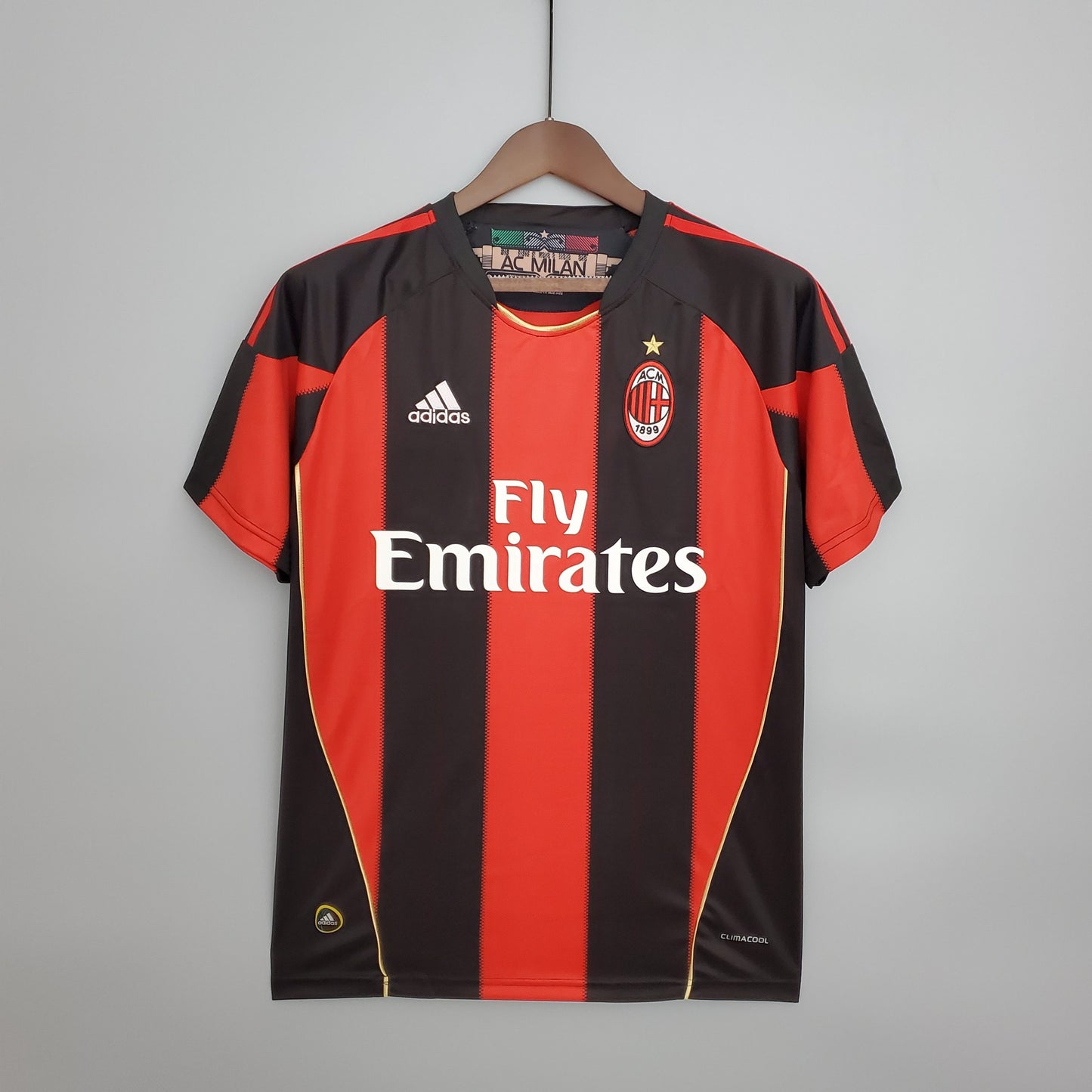 AC Milan 2010/11 Domicile