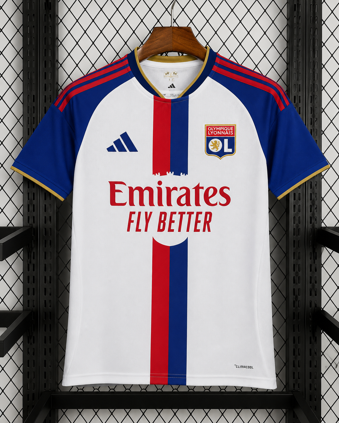 OL 2026/27 Domicile