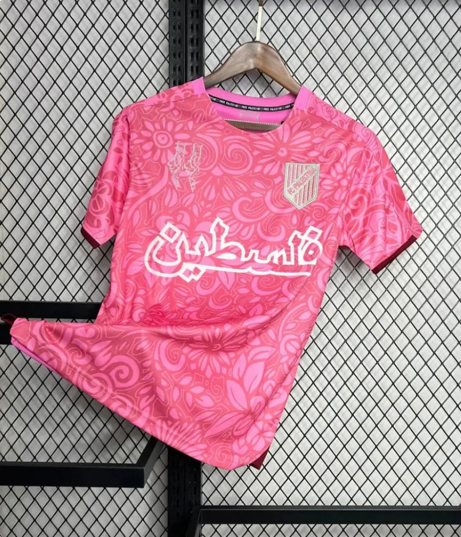 Palestine 2024 Concept