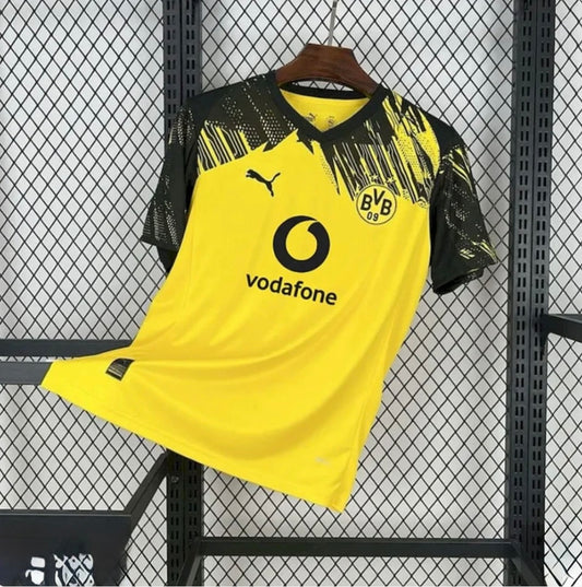 BVB Dortmund 2025/26
Domicile