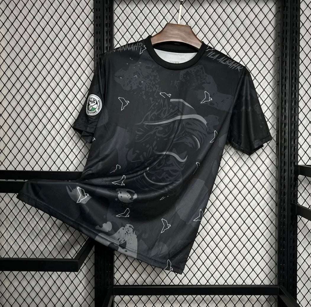 Palestine 2025 Concept