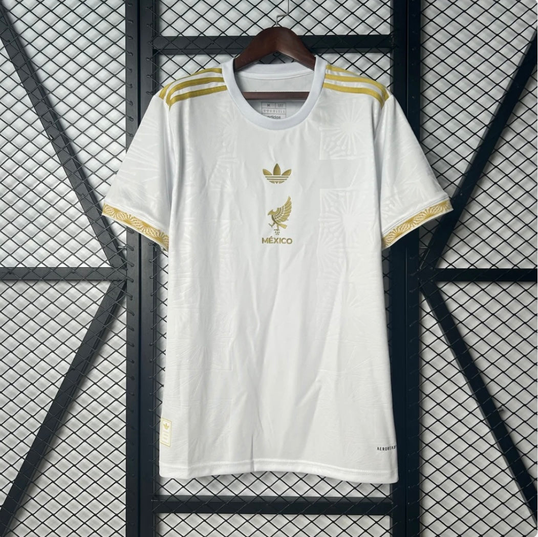 Mexique 2025 Concept